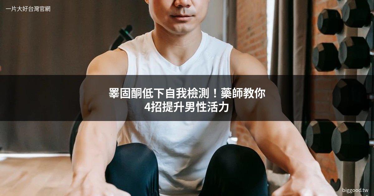 睪固酮低下改善方法 男性活力提升 一片大好