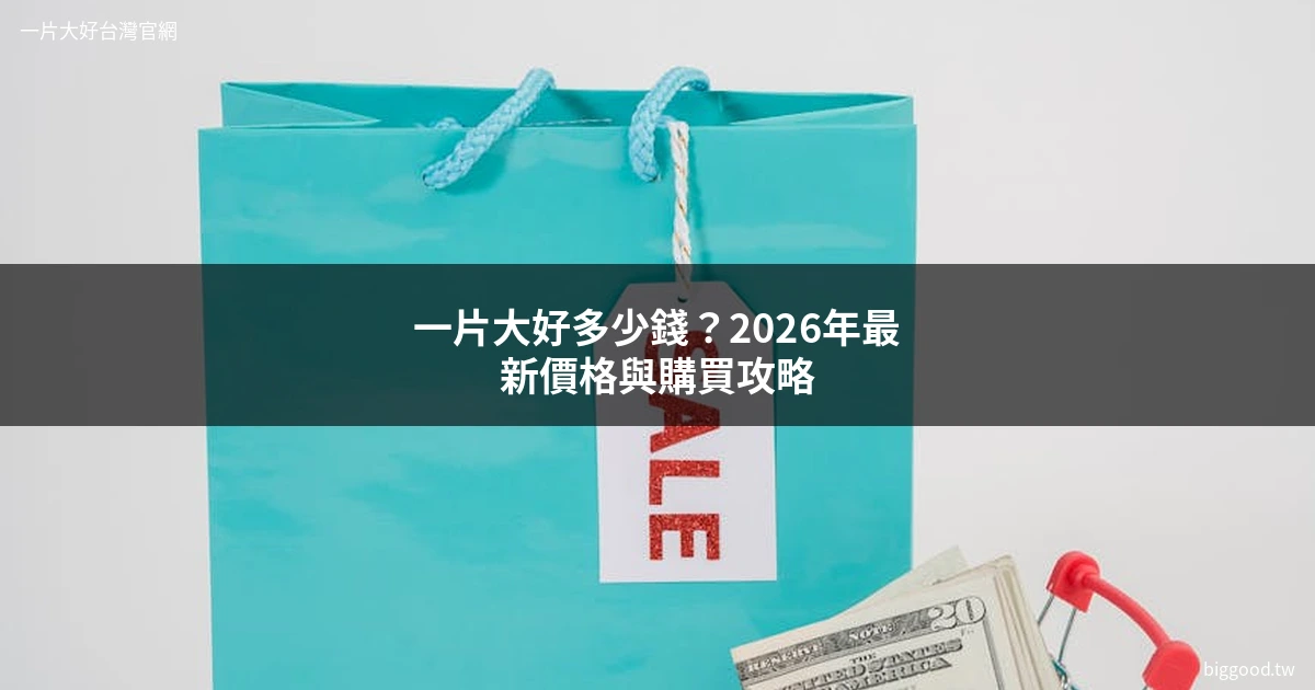 一片大好多少錢 一片多少錢 價格方案 2026