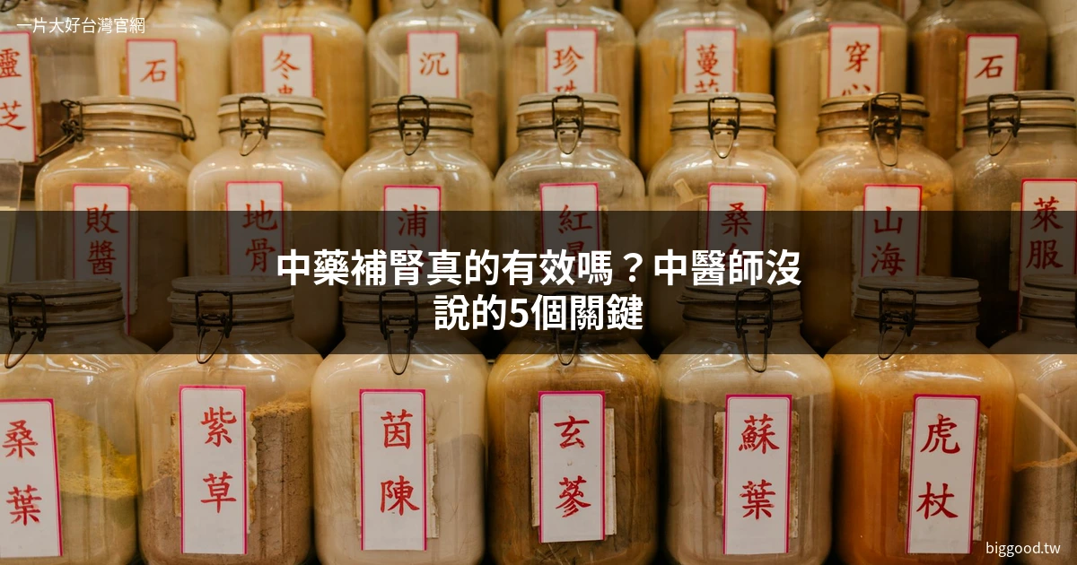中藥補腎 中藥材功效解析