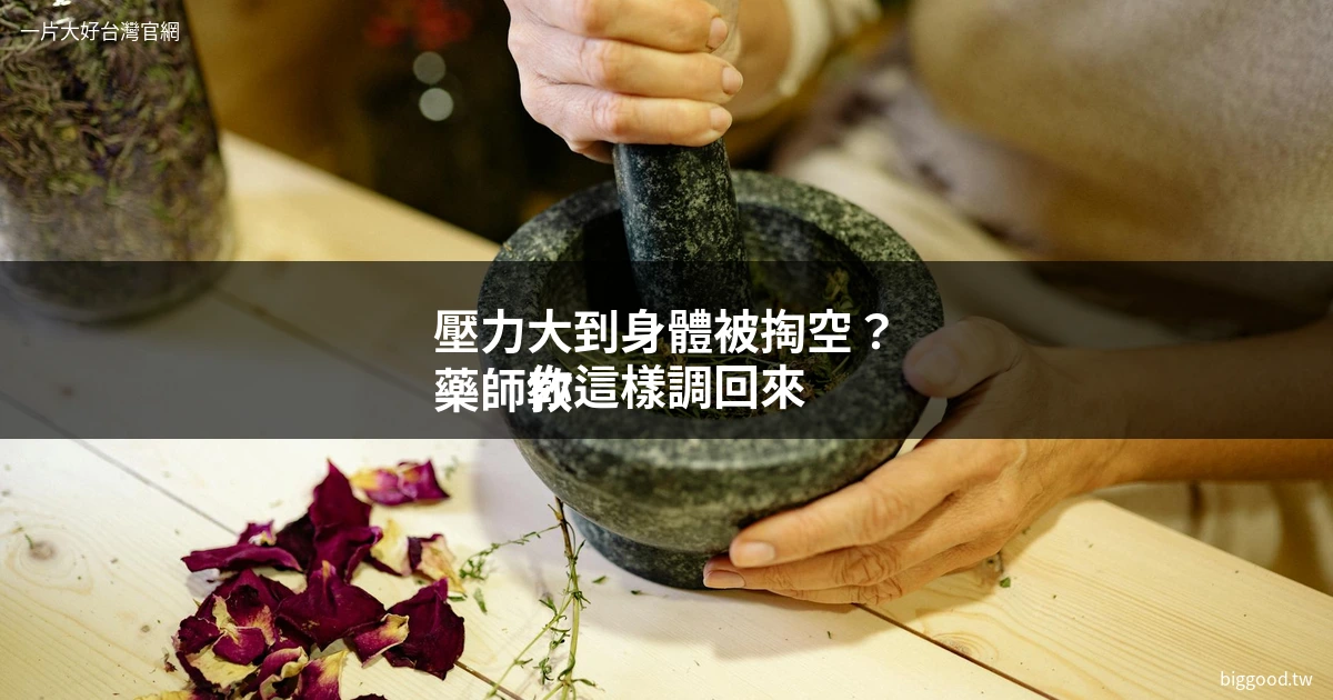 壓力大體力差 中藥調理 一片大好