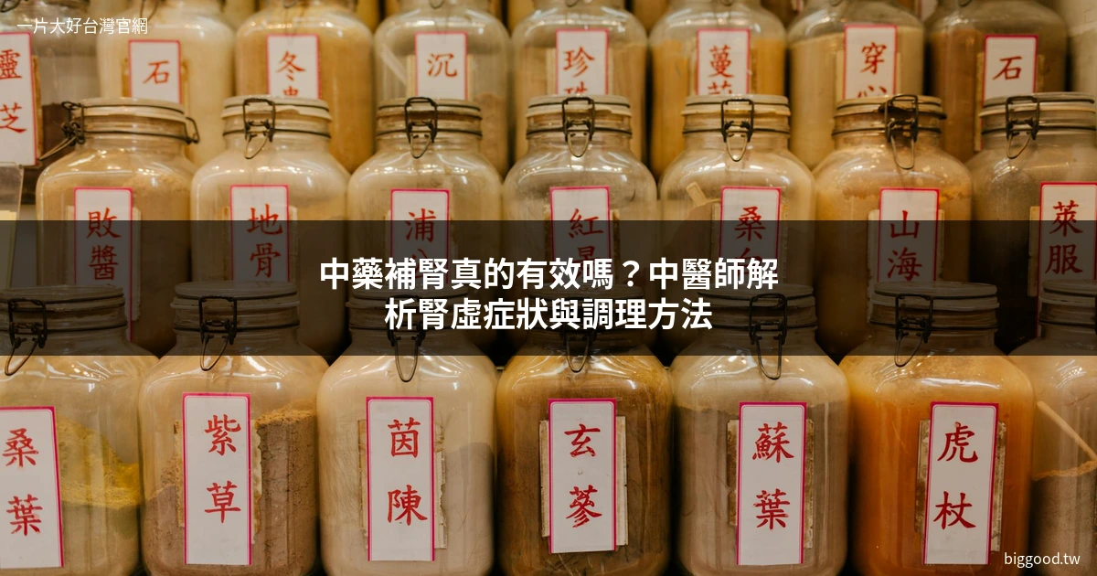 中藥補腎 中醫調理 腎虛症狀 男人補腎