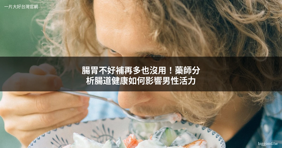 腸道健康 男性活力 改善消化吸收